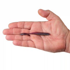 Lab Series™ Flat Worm