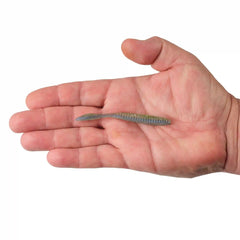 Lab Series™ Flat Worm