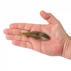 PowerBait® MaxScent Flux-Gill