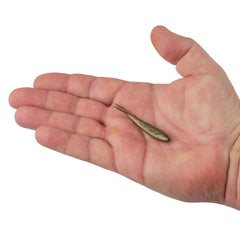 Gulp!® Minnow