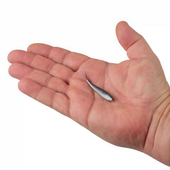 Gulp!® Minnow