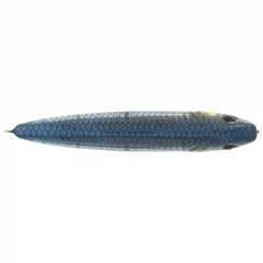J-Walker 100 Saltwater