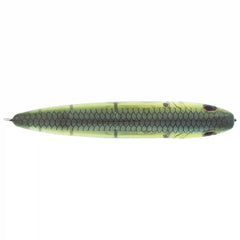 J-Walker 100 Saltwater