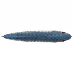 J-Walker 120 Saltwater