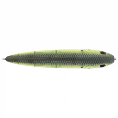 J-Walker 120 Saltwater