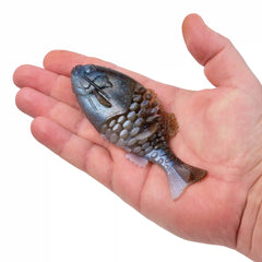 PowerBait® Gilly