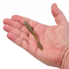 PowerBait® MaxScent Flat Worm