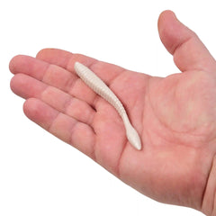 PowerBait® MaxScent Flat Worm