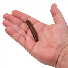 PowerBait® MaxScent Lil' General