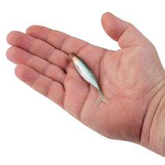 PowerBait® The Champ Minnow