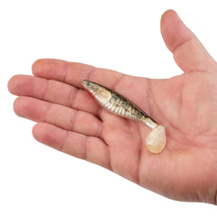 PowerBait® The Champ Swimmer